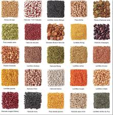 Les Legumineuses Vegetik Legumineuse Legumineuse Liste Consommons Sainement