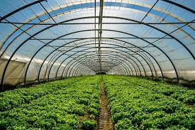 Find $$$ horticulture jobs or hire a horticulture professional to bid on your horticulture job at freelancer. 11 Great Career Opportunities From Studying Horticulture International Career Institute Australia