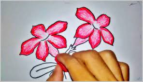 Maybe you would like to learn more about one of these? Gambar Bunga Kamboja Sketsa