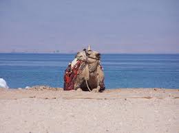 Well you're in luck, because here they come. Saudi Arabia