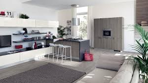 modern kitchen and living room space