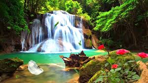 Maybe you would like to learn more about one of these? Create 35 Hd Meditation Relaxing Music Video For Youtube By Fastsellerdg Fiverr