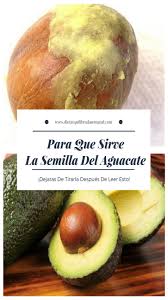 Para Que Sirve La Semilla Del Aguacate Ya No La Tires A La Basura Avocado Fruit Food
