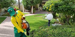 Lawn care and fertilization services. Emirates Landscape