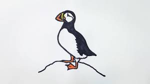 How To Draw A Puffin Youtube I tell you she s sexy,i m not sure i would give her a kiss,but she is i m not really in love with the hands,it s always a problem,and i am not able to tell you how to do hands. how to draw a puffin