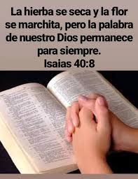 Pin De Katy Ayala En Tiempo Para Orar Frases Espirituales Versiculos Biblicos Frases Cristianas