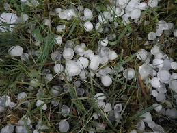 Calgary storm basketball club, calgary, alberta. What To Do During A Hail Storm