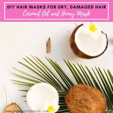 These nutrients are essential for healthy hair growth. 7 Simple Diy Hair Masks For Dry Damaged Hair The Beauty Deep Life