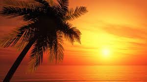 Relaxing Classical Guitar Instrumental Music Classical Music Study Music Youtube