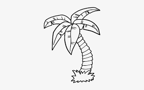 Printable palm tree free printable coloring page palmtree. Colouring Pages Palm Trees Free Transparent Png Download Pngkey
