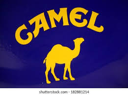Most current camel cigarettes contain a blend of turkish tobacco and virginia tobacco. Camel Cigarettes Logo Vector Eps Free Download