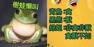 聽說塔綠班在叫叫叫煽動台灣要跟進戒嚴唷？ 哩搭馬好啊！ 人家尹錫悅至少還是48%選出來的思密達你們把師公40%吹成像80%選出來的一樣餒