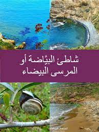 10 صور رائعة لشاطئ المرسى البيضة lockscreen lockscreen screenshot art