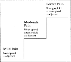 Image result for Cancer Pain Management