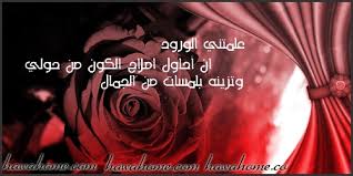 عبارات عن الورد اجمل ما قيل عن الورود صباح الحب