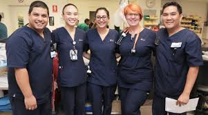 Enrolled nurse professional association nsw. New Report Western Sydney S Emergency Department Performance On The Rise Thepulse Org Au