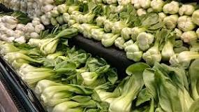 Is bok choy a Superfood?
