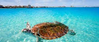 But there are so many more things to do in cancun besides the beaches! Hot Cheap Flights From Germany To Cancun For 279 Travelfree