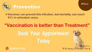 At the pet vet, pets are our passion. Pet Vet Veterinary Clinic Home Facebook