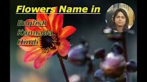 A useful list of flower names in english with pictures. Best Of Flower Name Hindi English Dono Free Watch Download Todaypk