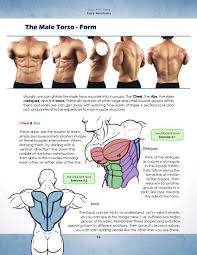 Maybe you would like to learn more about one of these? The Anatomy Bundle Anatomy Male Torso Draw With Jazza