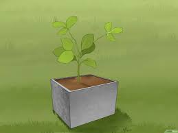 Anda bisa membuatnya menjadi bentuk yang ukurannya hampir sama seperti. Cara Membuat Pot Dari Beton Sendiri Dengan Gambar Wikihow