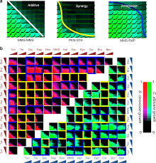 Modeling The Impact Of Drug Interactions On Therapeutic