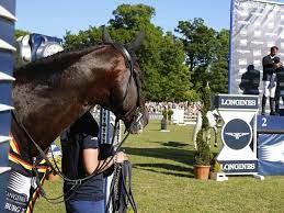 Elite Sport Horses Retiring At The Right Time Eurosport
