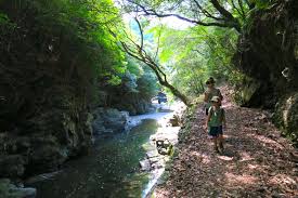 YAMAP / ヤマップ