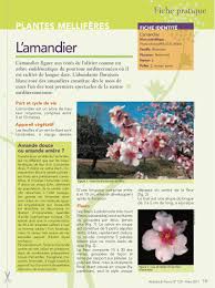Depuis des années, le nombre de patients qui choisissent de se soigner par les plantes ne cesse de croître dans la mesure où ce type de soin leur a permis de guérir de leur maladie. Plantes Melliferes Fichier Pdf