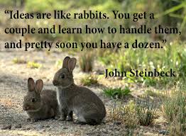 And louis, our lop earred rabbit. Three Quotes Challenge Day 3 Millie Thom
