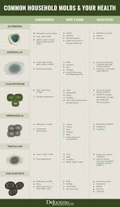 Mold Toxicity The Effects Of Living In A House With Mold Drjockers Com Mold Allergy Mold Exposure Mold Allergy Symptoms