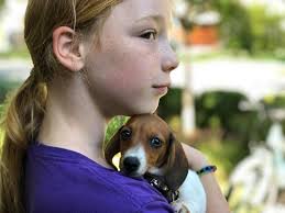 This is Abby. She is four month old Mini Dachshund.