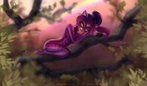 I'm a cat person and by that i mean i'm a chat noir and tigresse pourpre stan. Abbi Little Kitty In A Tree