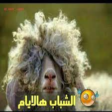 قصف الشباب humour finissant coiffeur