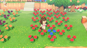 Yellow roses are the ideal choice to brighten a friends day because they convey joy and friendship, making for the perfect birthday flower arrangement. Acnh Blue Roses How To Get Breed Animal Crossing Gamewith