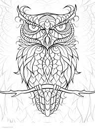 Nature coloring pages for adults free printable coloring. Free Printable Bird Coloring Pages For Adults Coloring Pages Printable Com