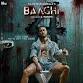 Baaghi 4 event image