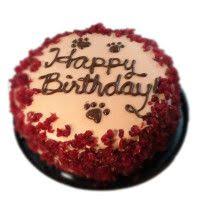 I made cat birthday cake. Wet Noses Pink Dog Birthday Cake Petsmart Pet Treats Recipes Dog Cakes Dog Birthday Cake