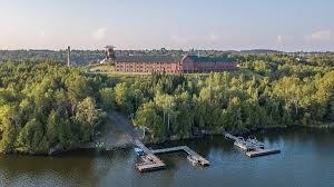 Image result for Elymandra grallata