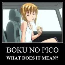 My little summer story) was released on november 11, 2007. Boku No Pico Meaning What Does Boku No Pico Mean