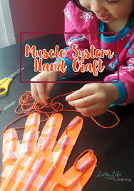 Awesome Muscular System Hand Craft For Kids Hand Crafts For Kids Human Body Activities Muscular System