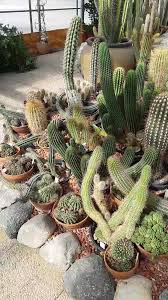 It is bounded by the canadian provinces of saskatchewan while every effort has been made to follow citation style rules, there may be some discrepancies. International Peace Garden Virtual Tour Of Peace Garden Conservatory Facebook