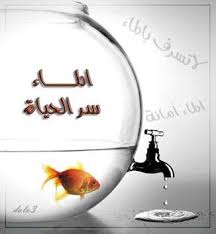 كلمات عن الماء صور تعبر عن اهمية المياة اروع روعه