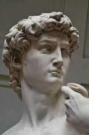 Michelangelo's david statue is a perfect work of art