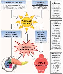 Vitamin d deficiency is a low level of vitamin d in your body. Vitamin D Deficiency And Diabetes Mellitus Intechopen