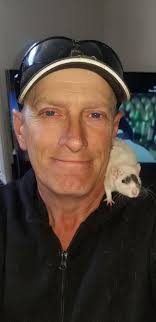 my boys 🩵 wilbur, paxton and doodle!