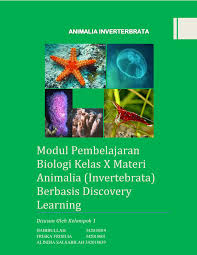 Sebanyak 10 cm3 hidrokarbon tepat bereaksi dengan 50 cm3 oksigen. E Modul Animalia Invetrebrata Kelas X Flip Ebook Pages 1 43 Anyflip Anyflip