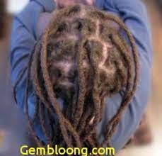 12 Unique Comment Epaissir Ses Cheveux Fins Naturellement