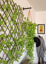 Diy Plant Wall For Under 100 Theincogneatist In 2020 Indoor Plant Wall Plant Wall Plant Decor Indoor